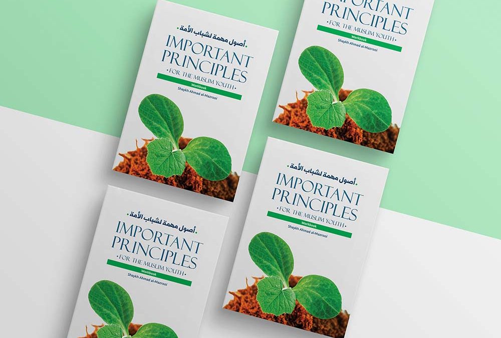 Important principles